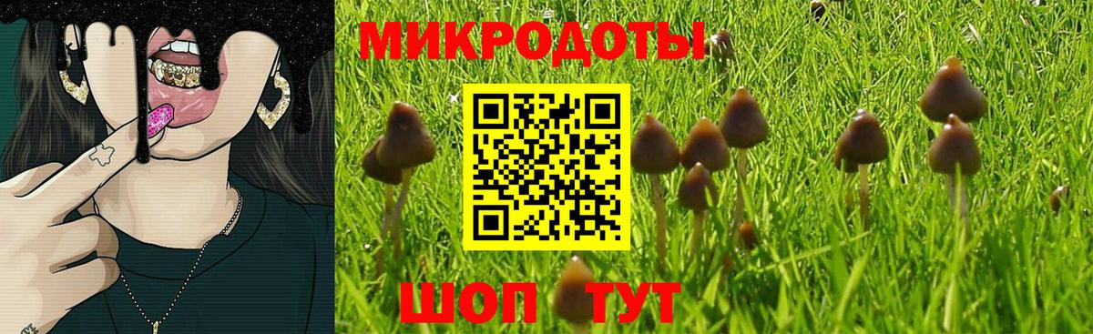Псилоцибиновые грибы Psilocybine cubensis Удомля