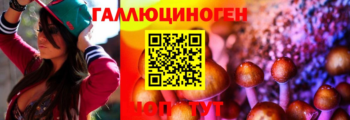 как найти наркотики  Вход с VPN  Галлюциногенные грибы прущие грибы  Удомля  Галлюциногенные грибы мицелий 